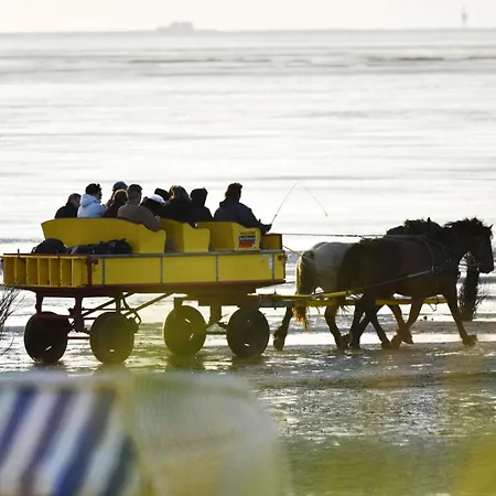 Apartment Haus Nordseebrandung Nc53